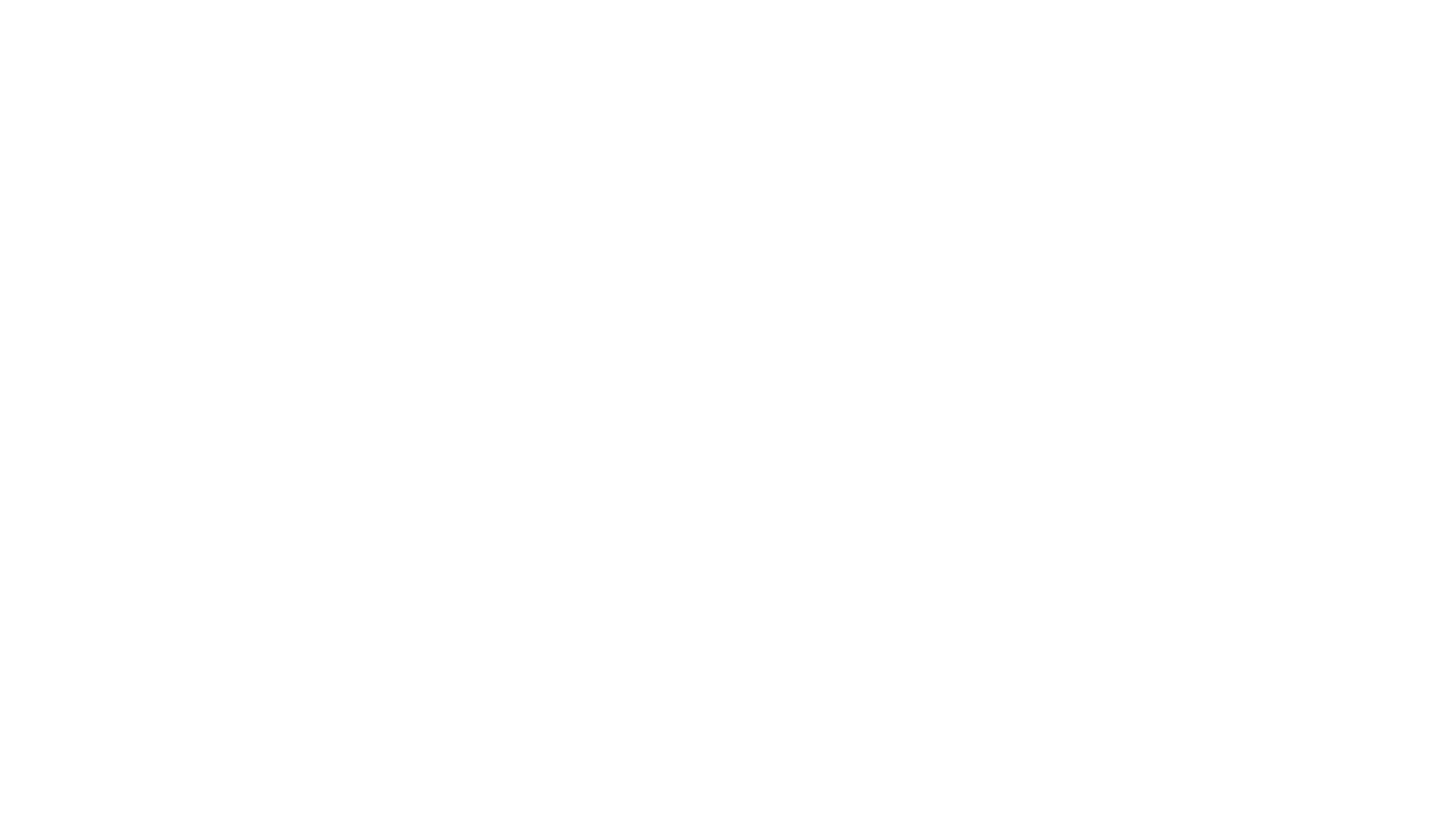 AI Solo